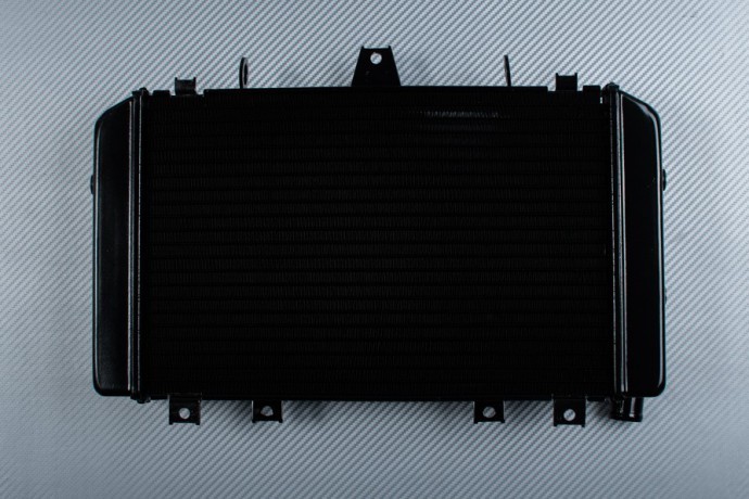 Radiateur eau Kawasaki ZRX 1200 évite la surchauffe et protège le moteur