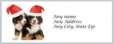 Personalized Address Labels Christmas Cute Dogs ac 572
