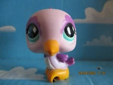 PETSHOP HUMMINGBIRDS N°505