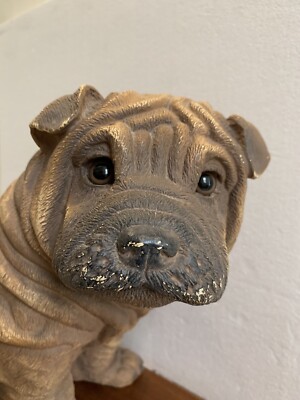 HOT Pei Philippines Chinese Shar Pei For Sale CHINESE SHAR