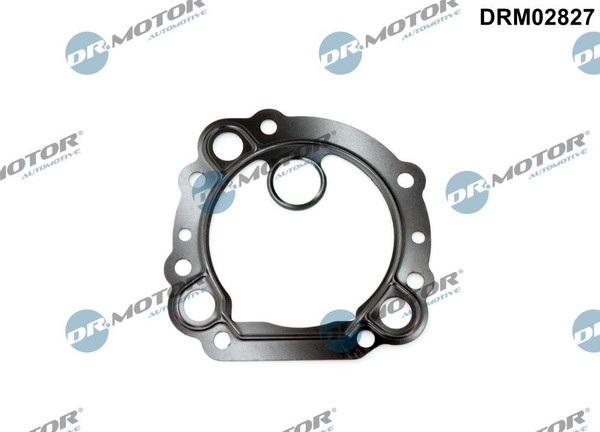 Dr.Motor Automotive Dichtung Agr-Ventil FüR Ford Transit Kasten 2.0 Ecoblue-image