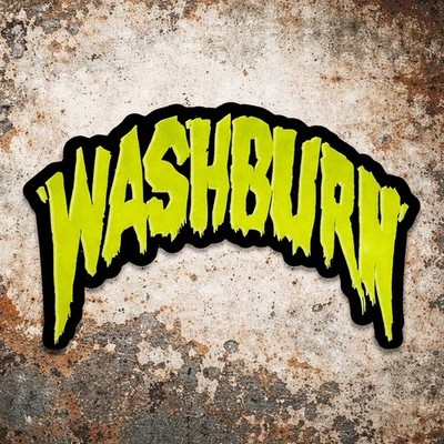 WASHBURN GUITARS PANTERA DIMEBAG DARRELL ABBOTT STICKER DAMAGEPLAN INSANELY RARE