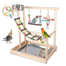 Small Bird Playground Tabletop Stand with Ladders Swing Toys for Parrots