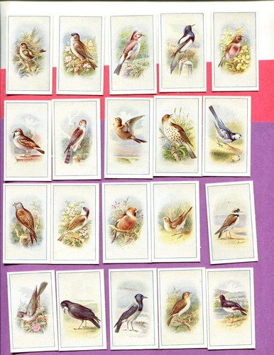 1939 P. J. CARROLL & COMPANY LTD. BIRDS 25 DIFFERENT TOBACCO CARD SET