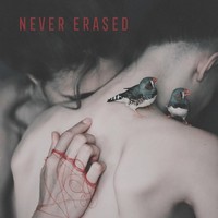 Various Artists - Never Erased - Vinyl Record - G72Z