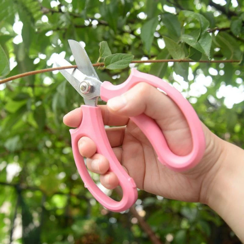 Floral Scissors Stainless Pruning Shears Flower Gardening Comfort Grip Home Tool - Image 2 of 4
