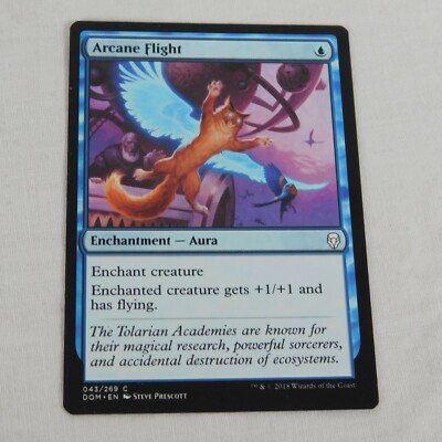 Arcane Flight MTG 2018 White Enchantment Aura 043/269 Dominaria Common Card