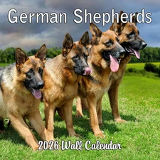 2026 German Shepherds Monthly Wall Calendar | Dog Calendar September 2025 - Dece