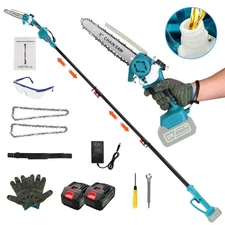 2-IN-1 Extension Cordless Electric Pole Saw Mini Chainsaw for Tree Trimming
