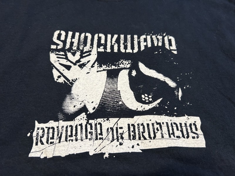 Vintage Shockwave Shirt XL Erie Hardcore Hatebreed xDISCIPLEx Terror Madball