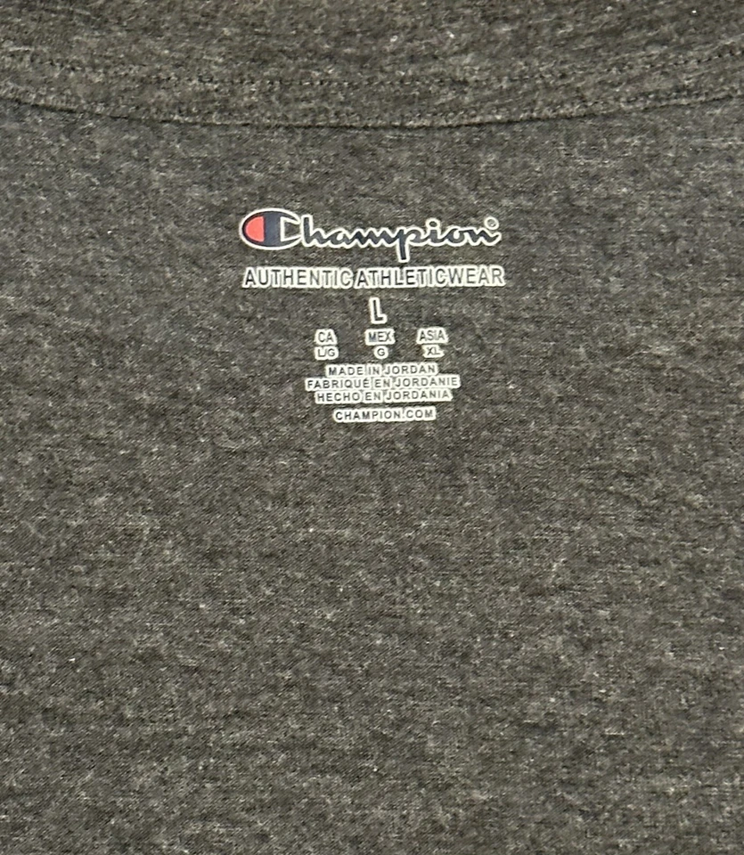 South Carolina Gamecocks Men's Large Gray Graphic Champion S/S T-Shirt Tee - Image 3 of 3