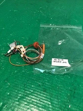 AO Smith LP Pilot Assembly  183824-202 / 200* C New Without Box