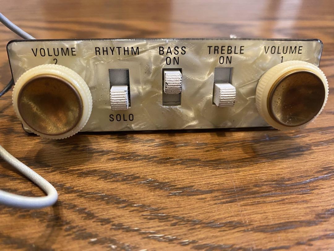 Hefner Violin-Based Hct Model Control Panel Completely