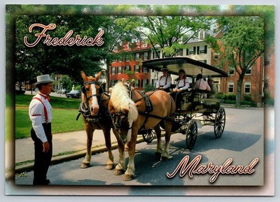 Horse drawn carriage, Frederick, Maryland postcard