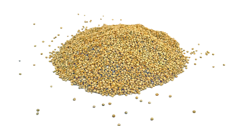 Органическая киноа ЗОЛОТАЯ цельнозерновая без ГМО оптом веганская - Изображение 2 из 4