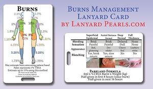 Paediatric Burns Chart