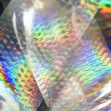 4 Boxes Aurora Nail Foil Clear Laser Snake Print Heart Nail Transfer Foil Starry