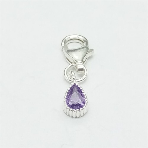 925 Sterling Silver CZ Birthstone Drop Charm for Bracelet Necklace Clip