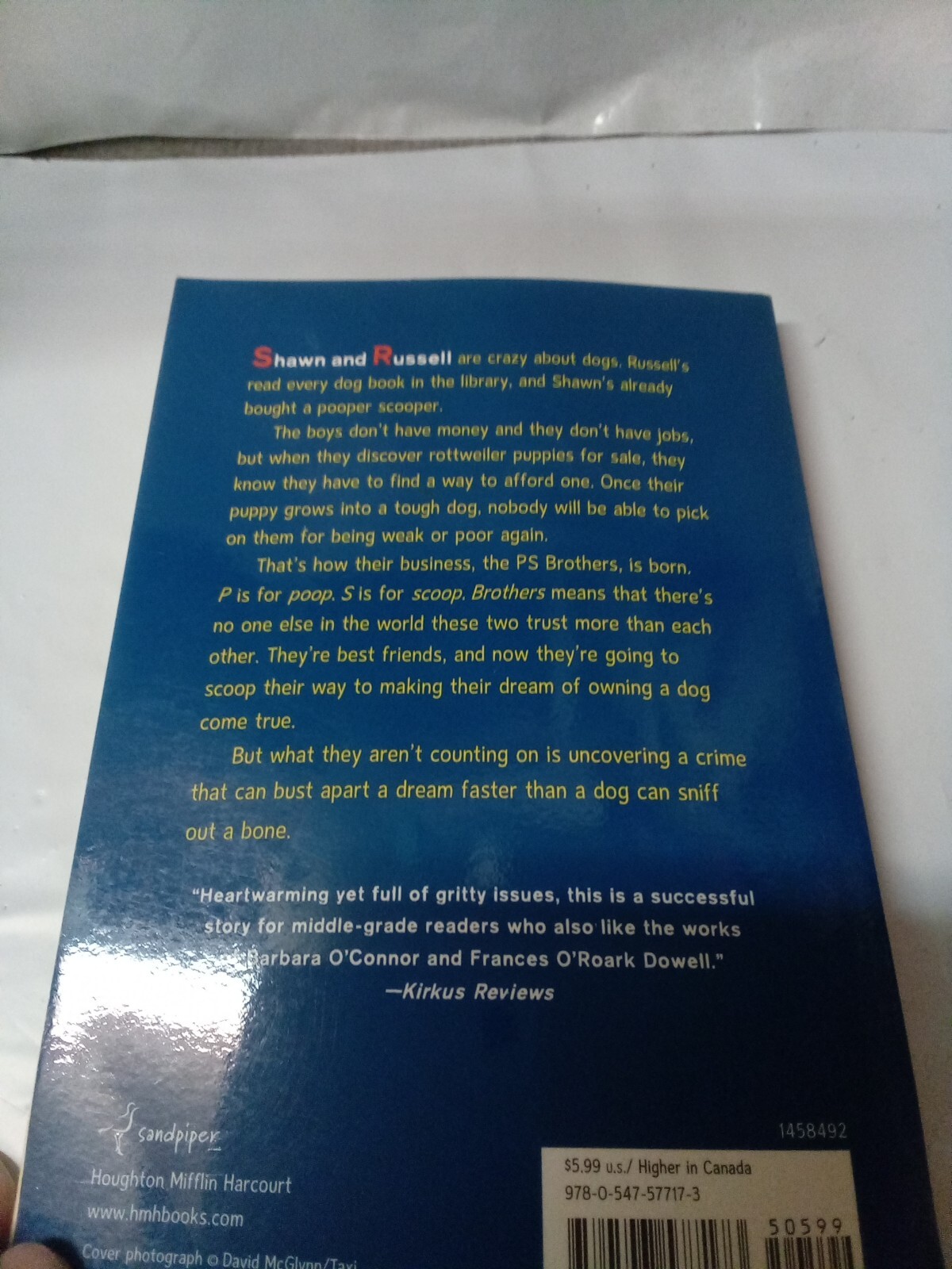 The PS Brothers - Paperback By Boelts, Maribeth - GOOD