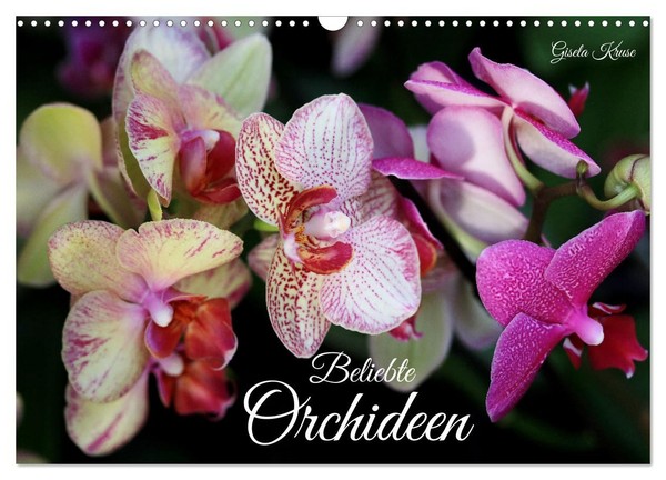 "Calendar 2027 · US Version · Popular Orchids (Wall Calendar 2027 17\" × 12\" Lands"-image