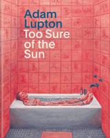 Juerg Judin (U. A.) | Adam Lupton. Too Sure Of The Sun | Buch | Englisch (2026)