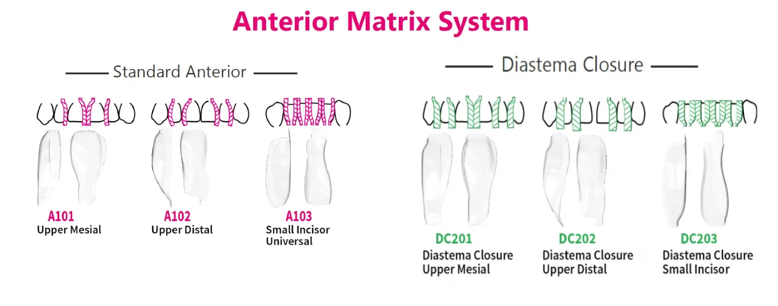 Bioclear Matrix System List BioClear Anterior Matrix System Refills Pack Of 12 Pcs Dental Material ...