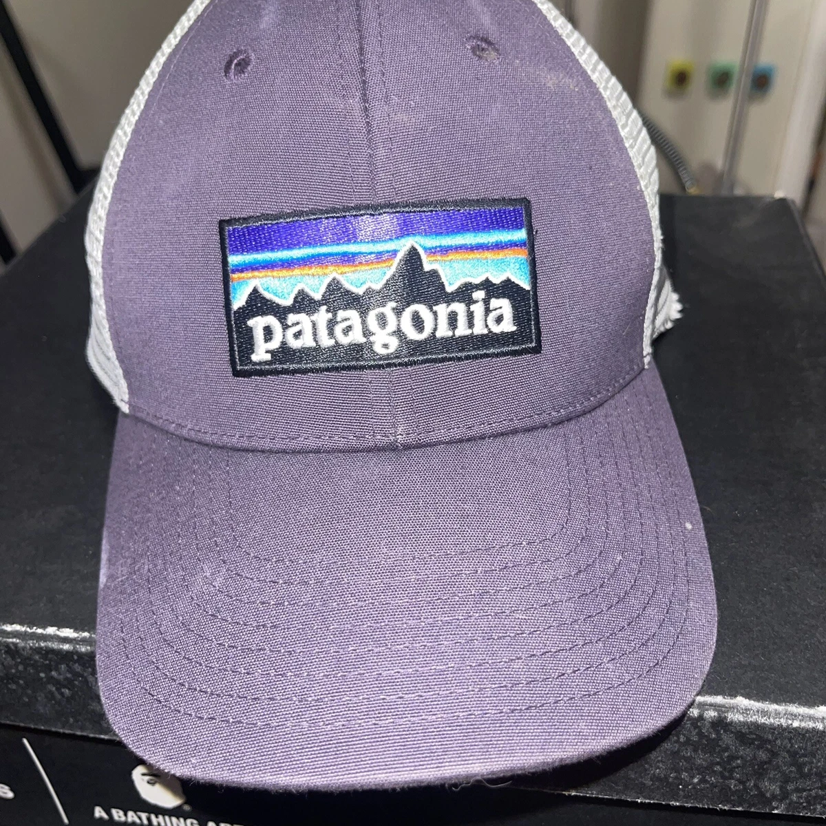 Purple sales patagonia hat
