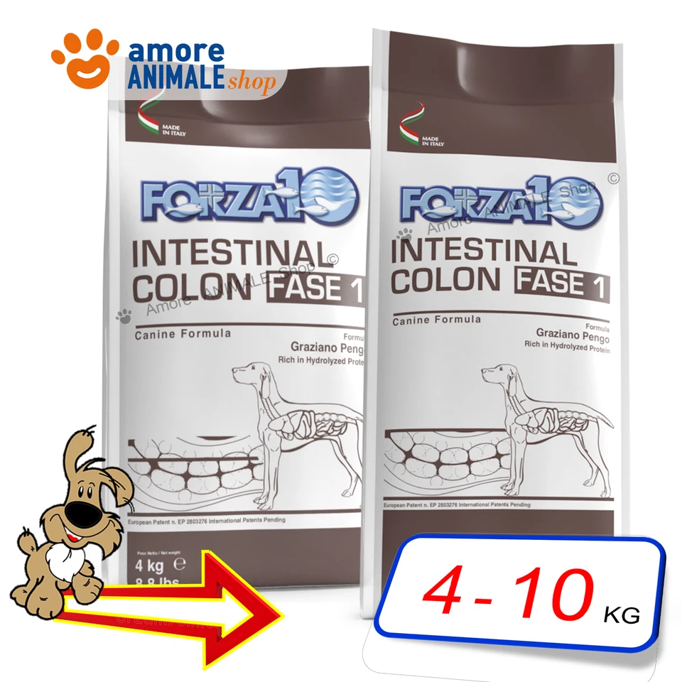Forza10 Dog ACTIVE → Intestinal Colon FASE 1 - 4 / 10 kg - Per Cane, Cani