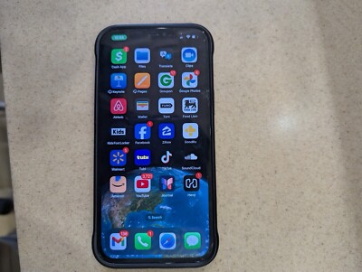 iPhone 12 Pro Max With TikTok