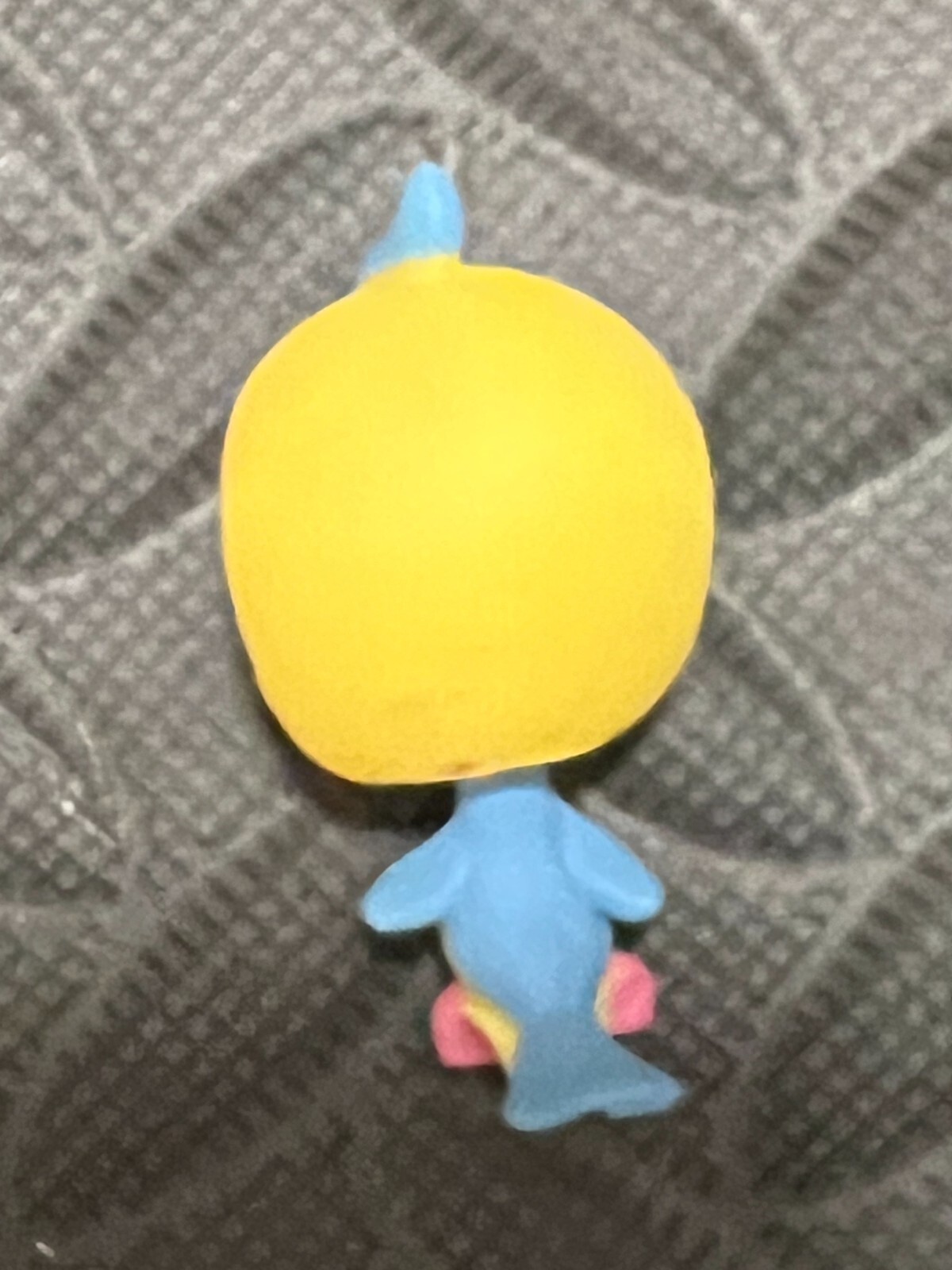 Picture 5 of 5