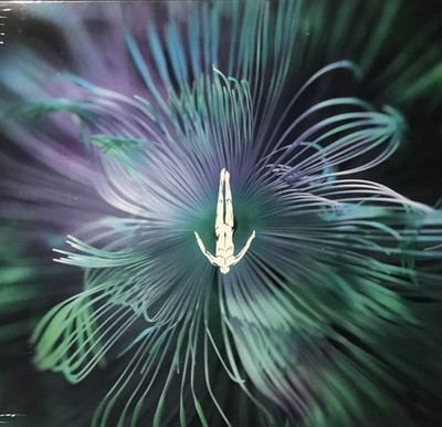 Innellea - Five Phases - Reflected Wisdom | Vinyl 12'' | AL074 | Afterlife | NEU