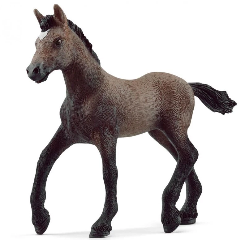 SCHLEICH - Figurine de l'univers des chevaux - Poulain Paso Péruvien - - SHL... - Photo 1/1