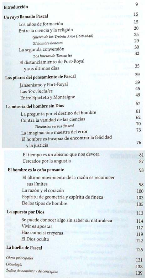 Imagen 2 de 2