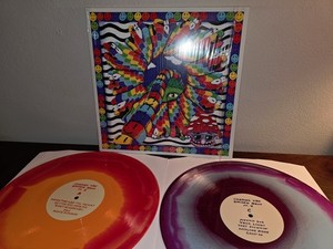 Griz Vinyl | eBay