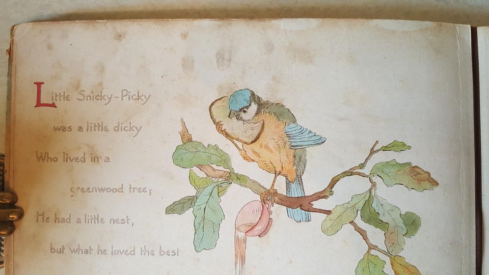 New Rhymes for Nursery Times, Nister [1899] First Edition Hardback