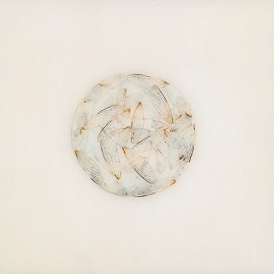 Lotte Kestner - Off White [New CD]