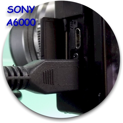 6 Feet Micro HDMI to HDMI Gold Plated TV Cable for Sony a6000/a6100/a6300