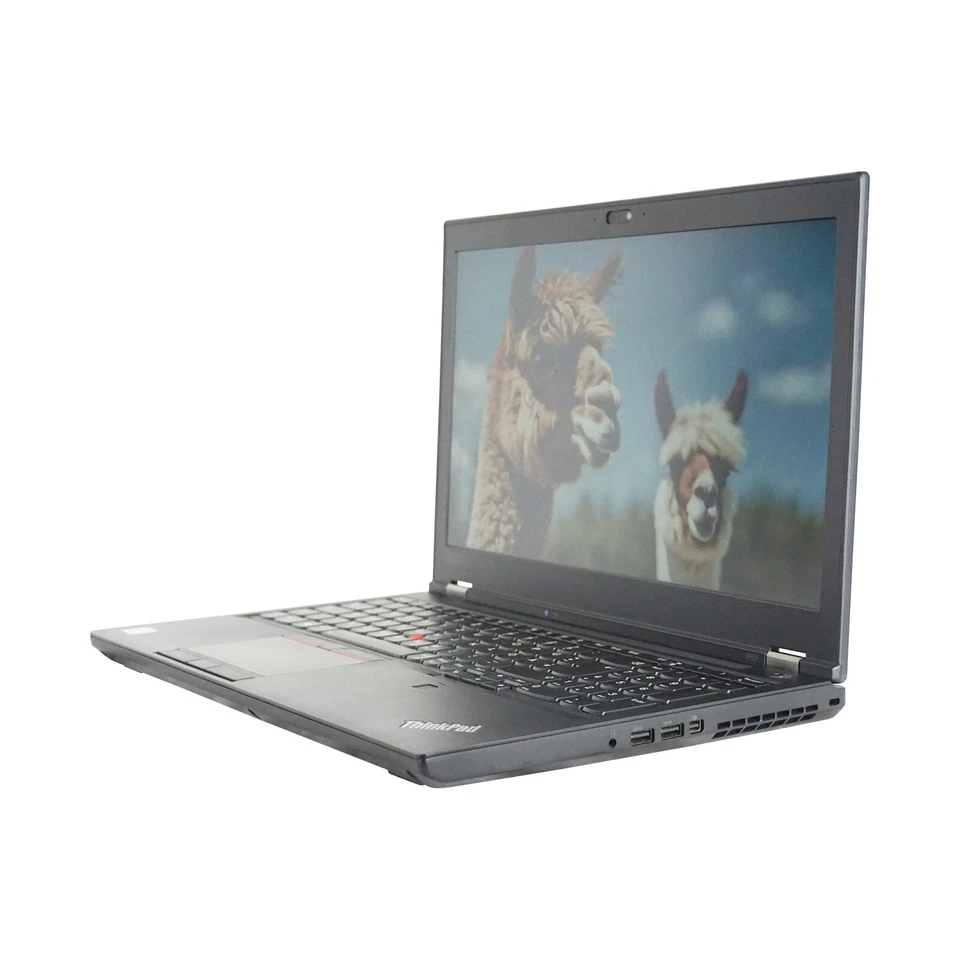 Lenovo THINKPAD P52 15,6 Pollici Notebook i7-8850H 32GB 512GB Quadro P2000 Win11 - Immagine 4 di 4