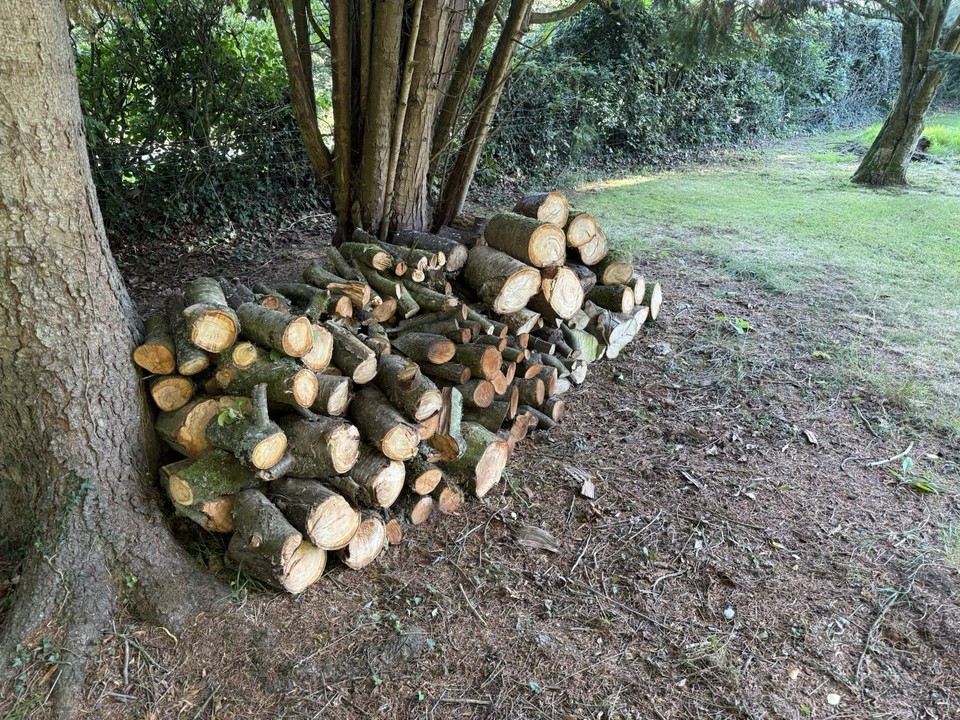 Seasoned Hardwood Wood Logs For Open Fire /log Burner | eBay UK