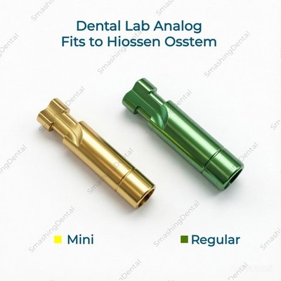 10Pcs Dental Lab Analog Inter Hex Type Fits to Hiossen Osstem Mini Regular