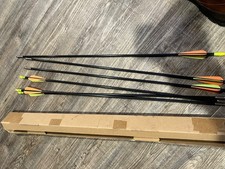 6 new youth arrows
