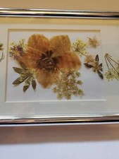 Beautiful Vintage Framed Dried Pressed Flower Floral Art Picture 5x7