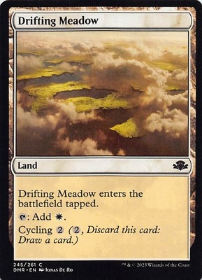 Drifting Meadow DMR 245 Normal English NM - MTG