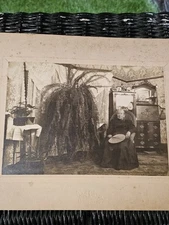 Antique Photograph Old Woman Parlor Giant Plant Fan Perry Ny