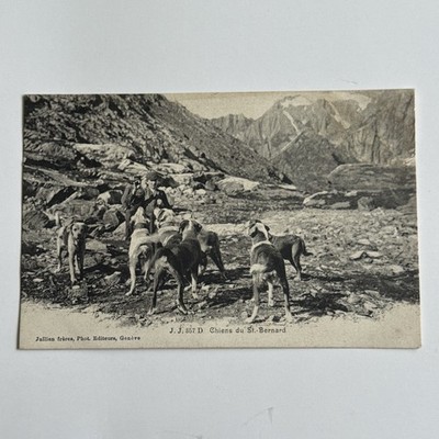 Antike viktorianische Postkarte zeigt die Hunde von Grand Saint-Bernard