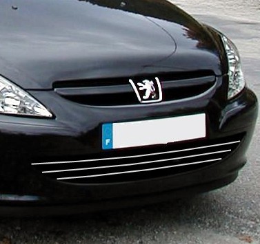 Baguette de calandre chromée Peugeot 307 anti jaunissement enjoliveur avant rechange 2001-2005