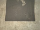 Foto 10 di 10