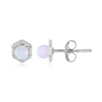 Cavill Silberohrringe Damen 925 Sterling Welo Opal 0,47Ct Sechseckig