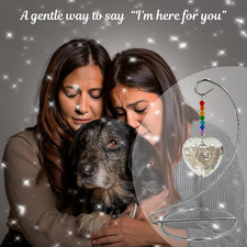 Dog Memorial Gifts Loss of Rainbow Bridge Crystal Heart Paw Suncatcher Pet Dogs