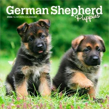 German Shepherd Puppies | 2026 7x14" (Hanging) Monthly Mini Wall Calendar